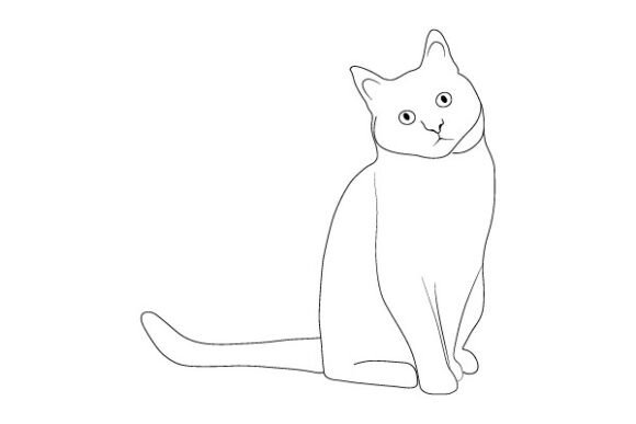 Cat Vector Line Art Illustration Design