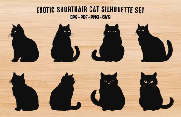 Exotic Shorthair Cat Black Silhouettes