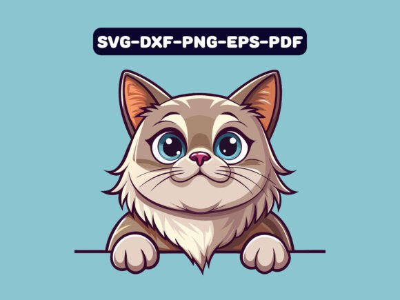 Himalayan Cat Peeking Clipart Vector