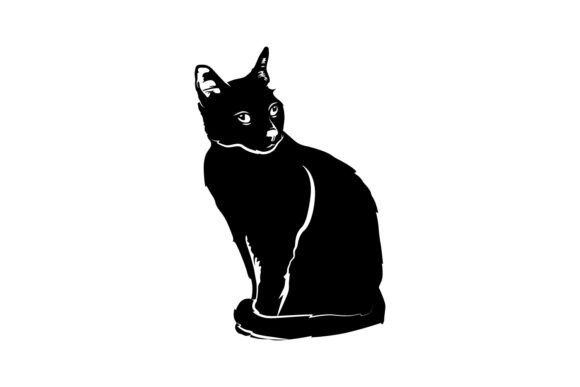 Silhouette Animal Cat Illustration Isola
